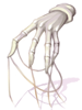 Haunted Touch