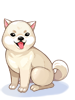 Doguinho Kish Inu