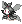 Companion Nyxie
