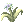 Flor de Alfheim