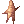 Raiz Marrom