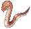 Snake Lord's Minion
